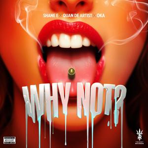 Why Not? (Explicit)