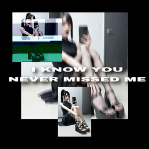 I Know You Never Missed Me