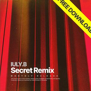 Secret (Remix)