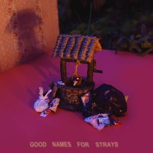 Good Names for Strays (Explicit)