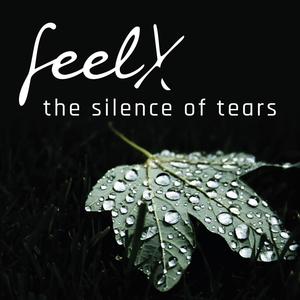 The silence of tears (feat. Luca Calabrese, Eva Wey, Dédé Felix & Nicolas Winter)