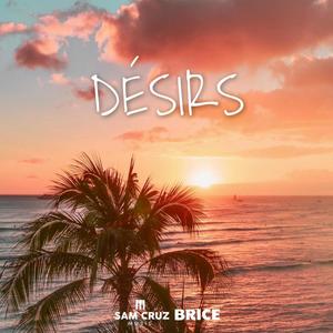 Désirs (feat. Brice) (Extended)