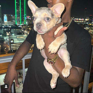 Pronto (feat. Parking Lot Louie & Young Rack) (Explicit)