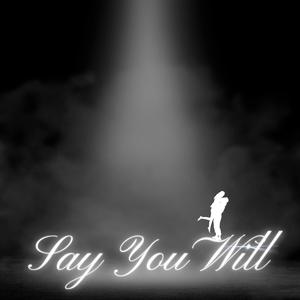 Say You Will