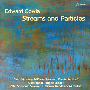 Particle Partita - Particle Partita: VIII. Higgs Boson and Beyond...