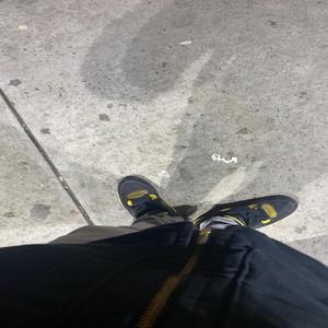 CITI BIKES (Explicit)