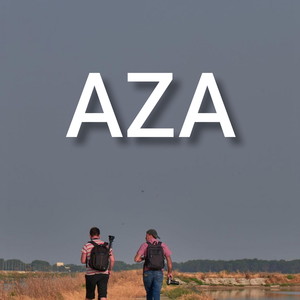 Aza (Explicit)