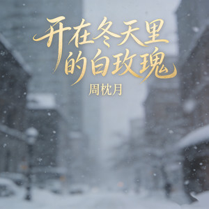 开在冬天里的白玫瑰