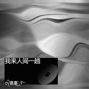 我来人间一趟