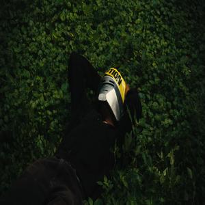 Price Tag (Explicit)