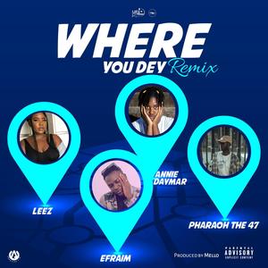 Where You Dey (feat. Efraim, Leez, Annie Daymar & Pharaoh 47) [Mello remix] [Explicit]