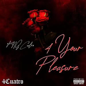 4 Your Pleasure (Explicit)