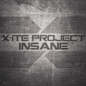 Insane (Miss Inxs Remix)
