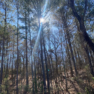 Autopilot (Explicit)