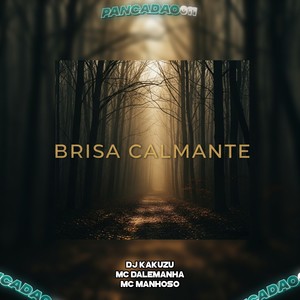 BRISA CALMANTE (Explicit)