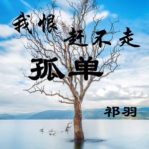 我恨赶不走孤单