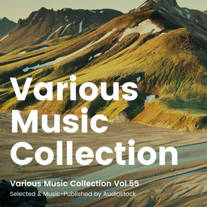 Various Music Collection Vol.55 -Selected & Music-Published by Audiostock-