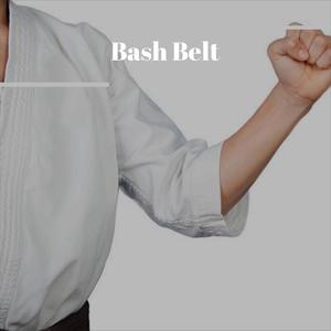 Bash Belt