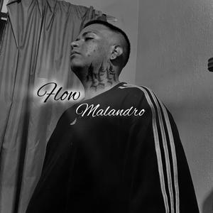 El Flow Malandro (V1) [Explicit]