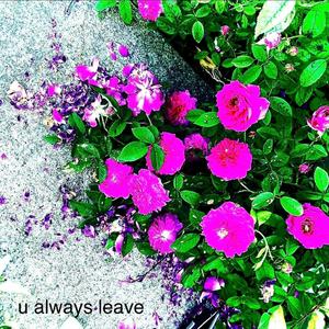 u always leave (Explicit)