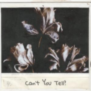 Can't You Tell? (feat. saveaj) (Explicit)
