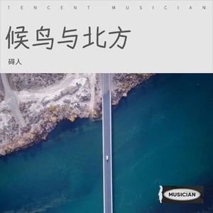 候鸟与北方