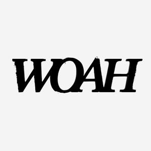WOAH (feat. Checks, BRUHMANEGOD, Cxrpse & Fenrir) (Explicit)