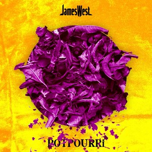 Potpourri (Explicit)