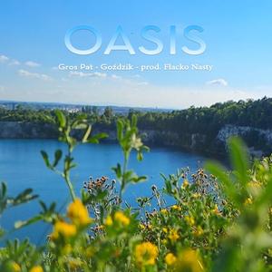 Oasis (feat. Goździk & Flacko Nasty) [Explicit]