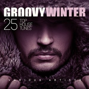 Groovy Winter (25 Top House Tunes)