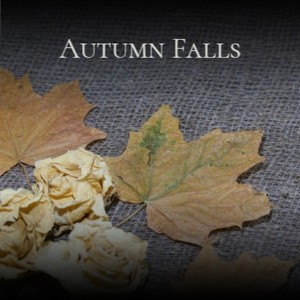 Autumn Falls