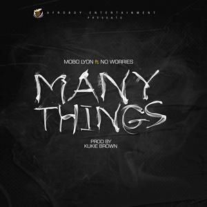 Many Things (feat. No Worries)