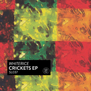 Crickets (Original Mix)