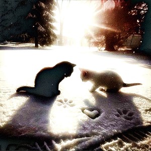 luv for the first time (Explicit)