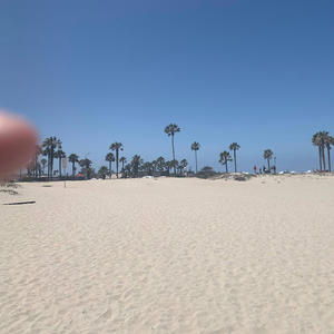 Mission Beach