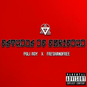 Estados De Ebriedad (feat. Puli Boy) [Explicit]