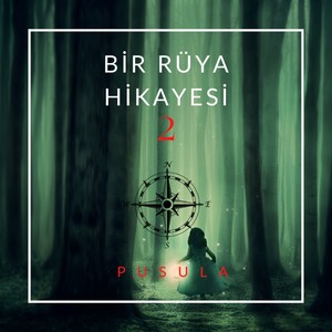 Bir Rüya Hikayesi 2