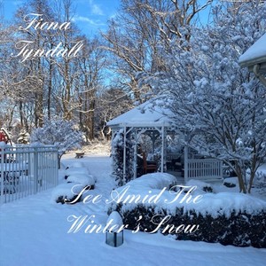 See Amid the Winter's Snow (feat. Gabriel Donohue)