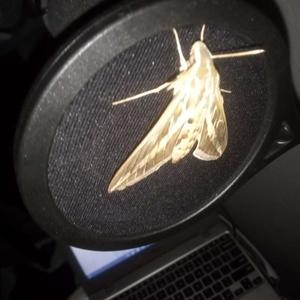 Biggest Dream (Explicit)