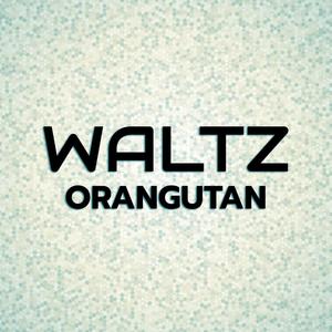 Waltz Orangutan