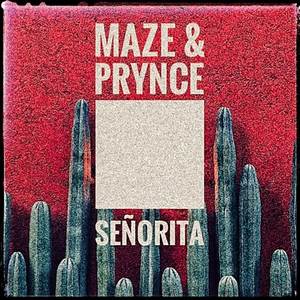 Señorita (Explicit)