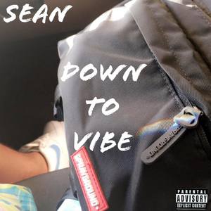 Down To Vibe (Explicit)