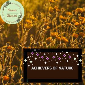 Achievers of Nature