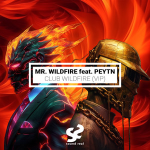 Club WildFire (VIP) [Explicit]