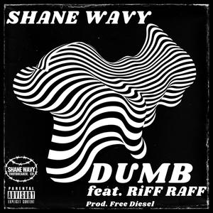 Dumb (feat. Riff Raff) [Explicit]