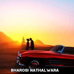 Sajan Jhajan Teri Jawani