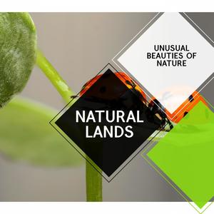 Natural Lands - Unusual Beauties of Nature