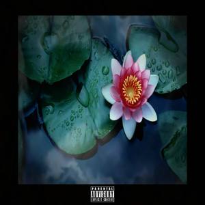 Fruition (Explicit)