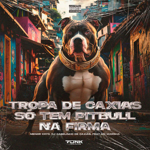 Tropa de Caxias Só Tem Pitbull na Firma (Explicit)