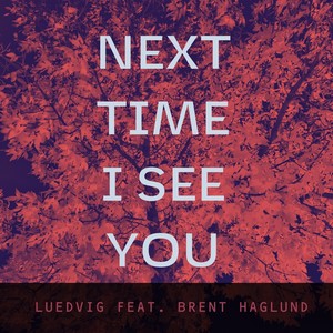 Next Time I See You (feat. Brent Haglund)